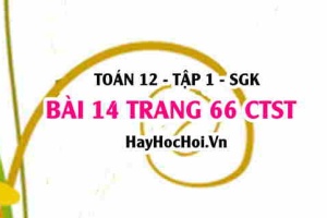 Bài 14 trang 66 Toán 12 tập 1 Chân trời sáng tạo